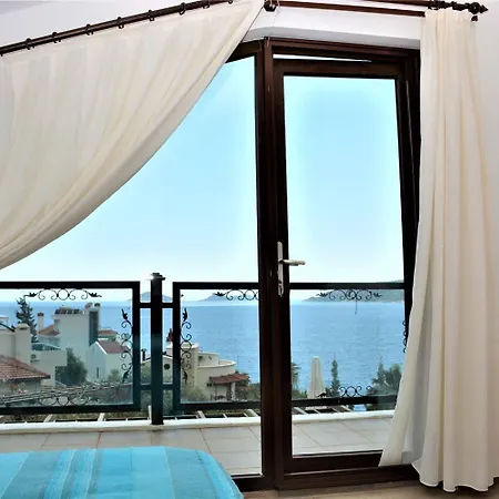 Limon * Kalkan